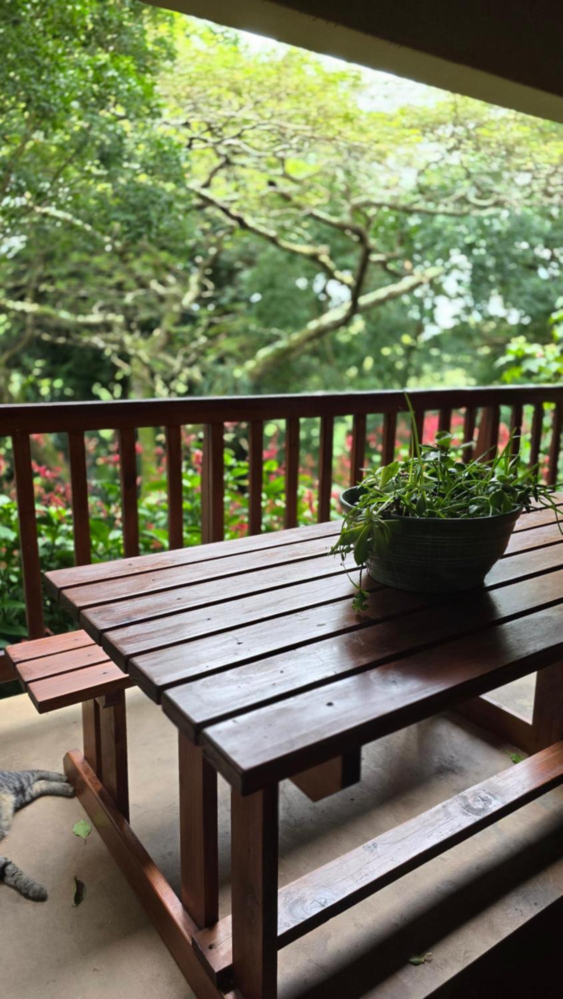 Honeywood Forest Lodge Port Shepstone Exterior photo